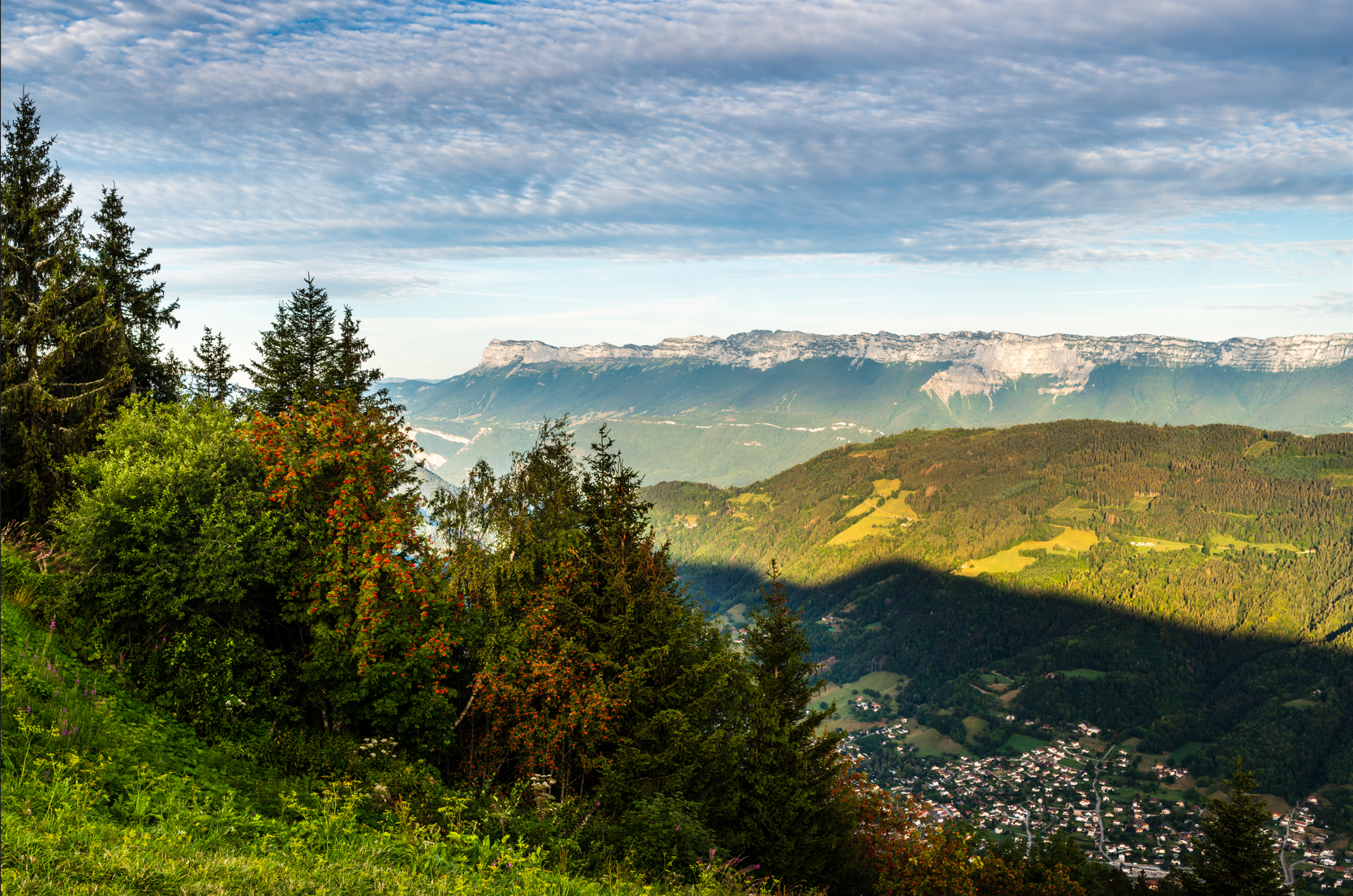 Nature et Découvertes, projet exemplaire - France Bois Forêt